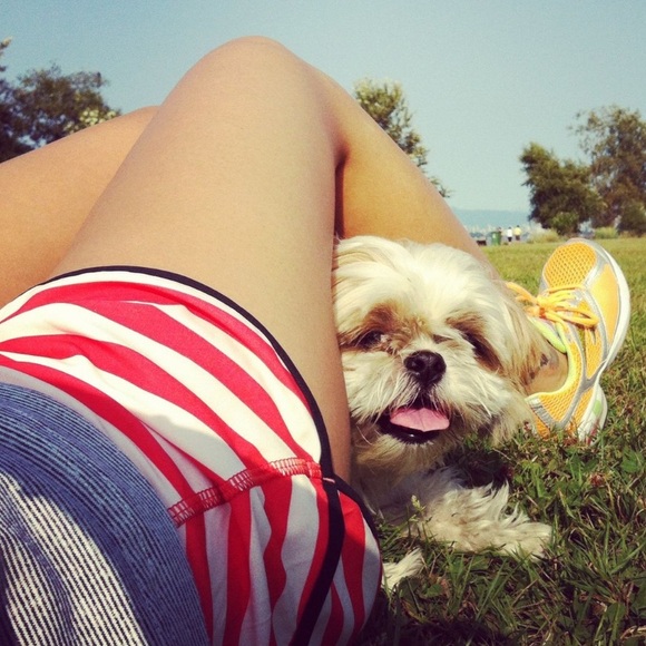 Lululemon Original Speed Shorts Stripe Waldo Fearless Red 4 - Picture 2 of 9